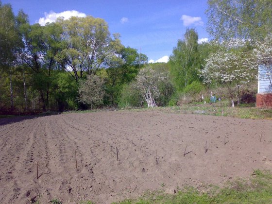 Продається будинок та  земельна ділянка в селі Ольшана Прилуки