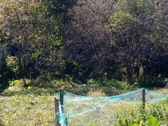 Продам пів будинку Славута