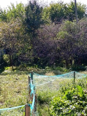 Продам пів будинку - фото 1