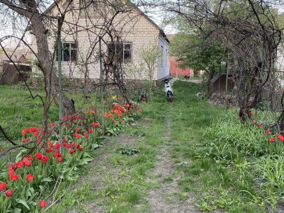 Продам будинок біля річки Сміла