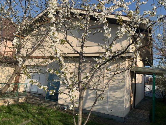 Будинок з власним причалом і виходом у Дніпро, з НОВИМ РЕМОНТОМ Нова Українка