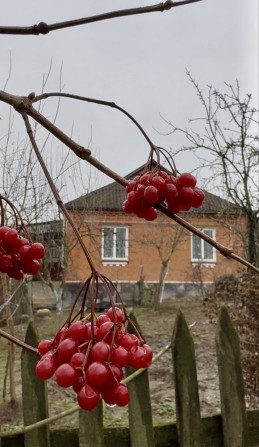 Продаж будинку у відмінній локації - фото 1