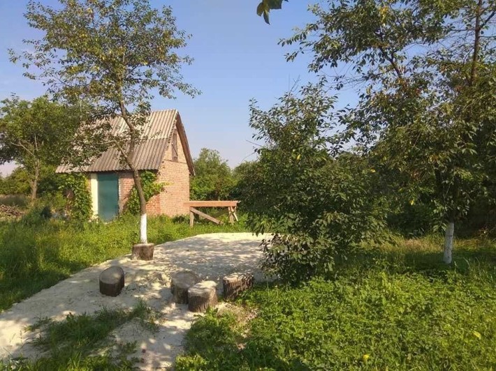 дача у Шептицькому - фото 1