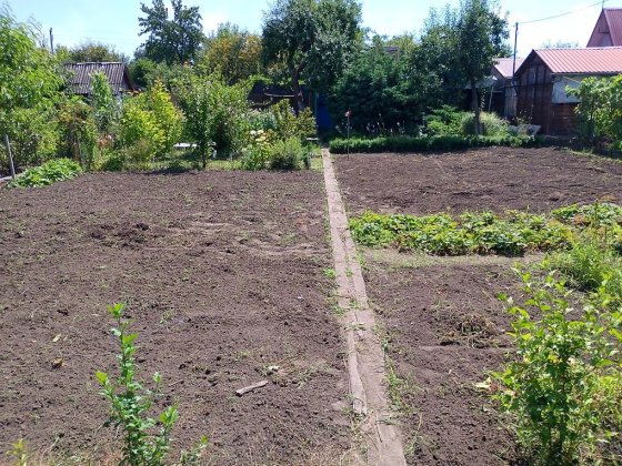 Дача в межах міста ,кооператив "Автотранспортник"(4 гараж.кооп) Шептицький