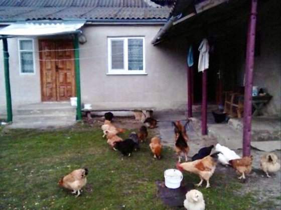 Продаж великого просторого будинку! Хмельницький