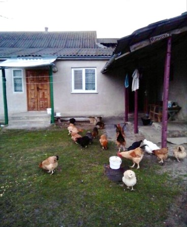 Продаж великого просторого будинку! - фото 1