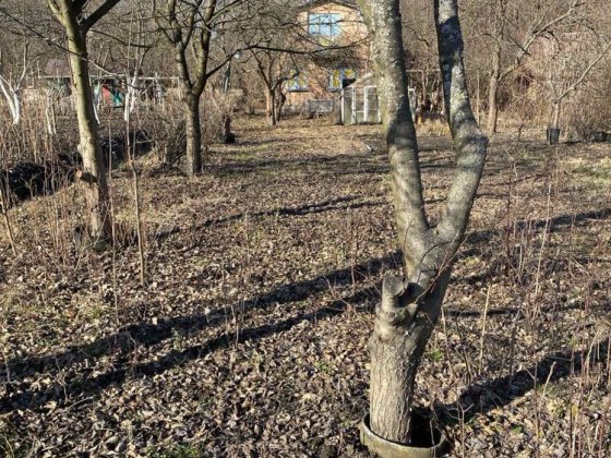 Дача 1,5 поверхова Шептицький