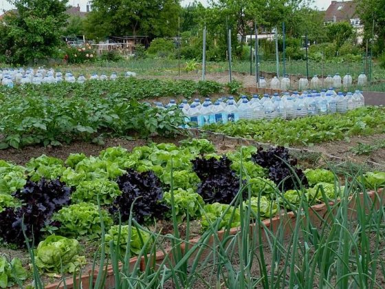 Продам дом в Чугуеве Чугуїв