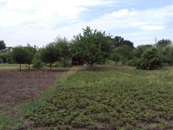 Продам дом в живописном месте Чугуїв