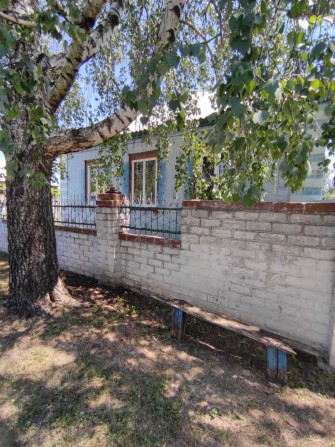Продам дом Чугуев - фото 1