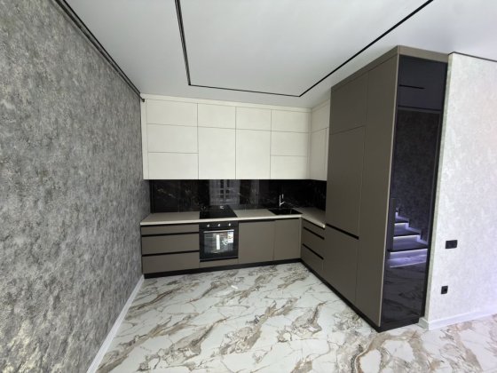 Просторий панхаус з ремонтом Березина