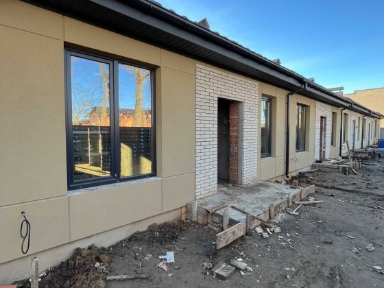 Продам Тауни по привабливій ціні (8340) Агрономічне