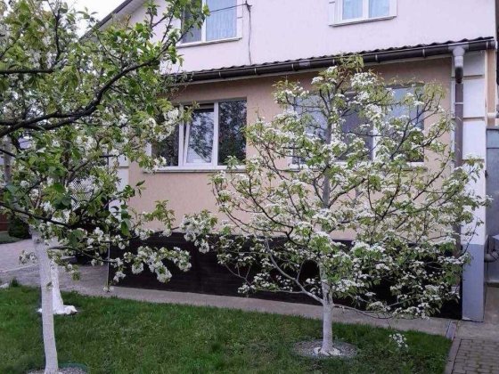 Сучасний 2 поверховий 4 к будинок, Лезнево, 135 м², з ремонтом! 37543 Хмельницький