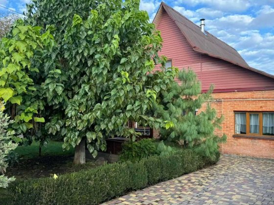 (7) Продаж будинку в Стрижавці (5813) Стрижавка