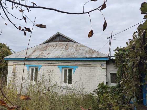 Будинок, господарські приміщення, земельна ділянка Ладыжин