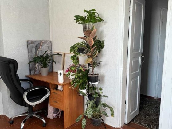 (5) продам будинок в Немирові 1122 Немирів