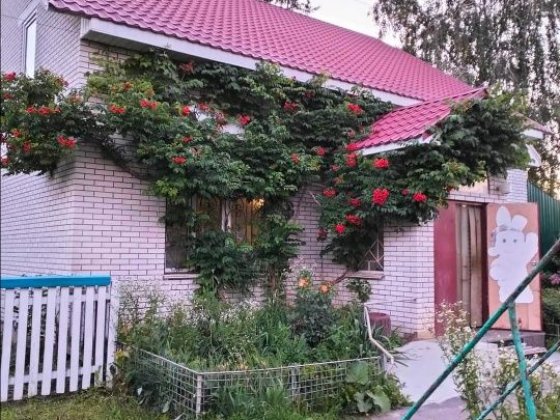 Продаю будинок-магазин Іллінці