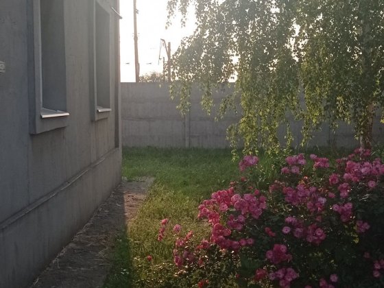 Продам дом в Подгороднем,76м2,на зем. уч. 0.109га,ул.Жовтнева228 Підгородне