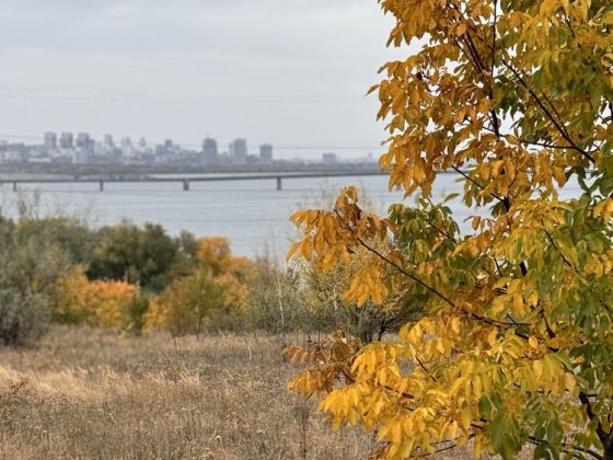 Продаж Видової дачі за Перемогою 6