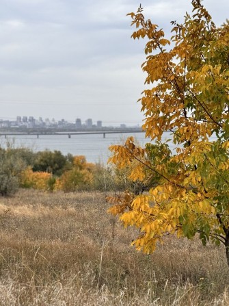 Продаж Видової дачі за Перемогою 6 - фото 1