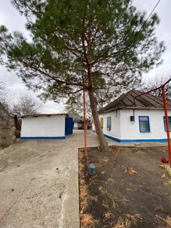 Земельный участок 22 сотки с домом 26 м. кв. в Подгороднем - фото 1