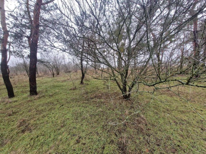 Продам дачу Новоселовка - фото 1