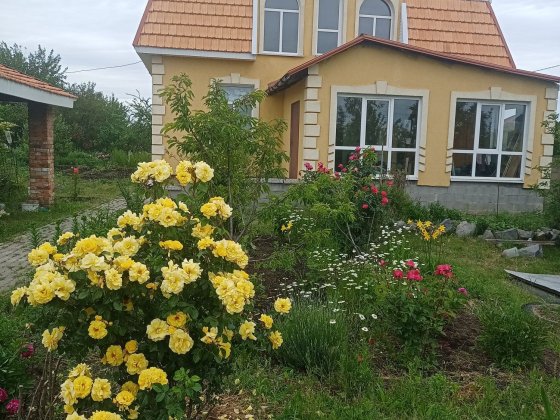 Продам будинок в с. Старі Кодаки Дніпропетровської обл. Старые Кодаки