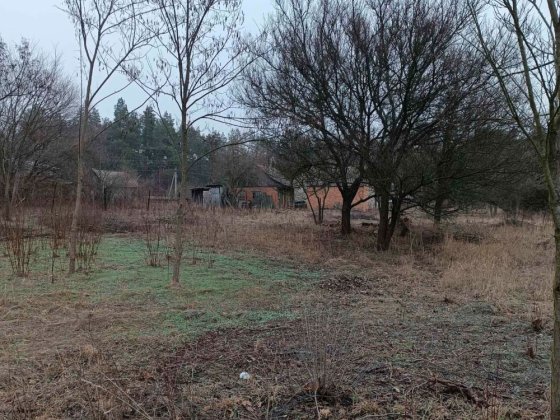 Продам дом в Орловщине (Старая слобода)