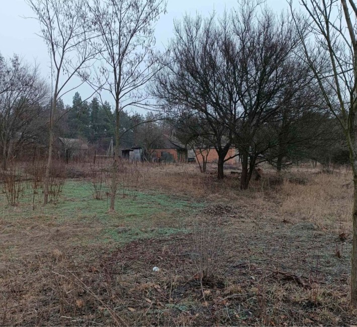 Продам дом в Орловщине (Старая слобода) - фото 1