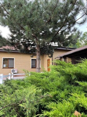 Продам дом в Обуховке | 3 га землі| Чарівна Мирный Волшевная Перевіз - фото 1