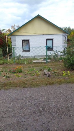 Дом в Синельниково - фото 1