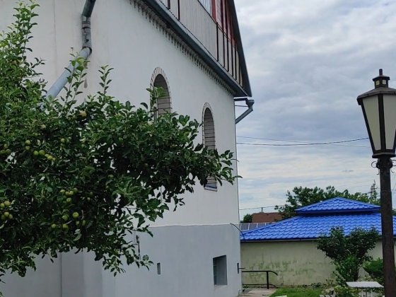 Продам большой и уютный дом Верхньодніпровськ