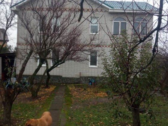 Продам дом дача в Новоселовке Новоселівка