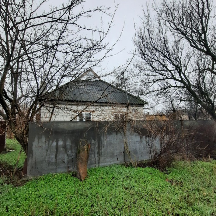 Дом 60 кв. в Елизаветовке  ул. Затишна - фото 1