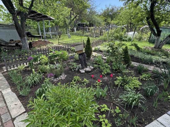 Дача за бамом 4км от Терновки Тернівка