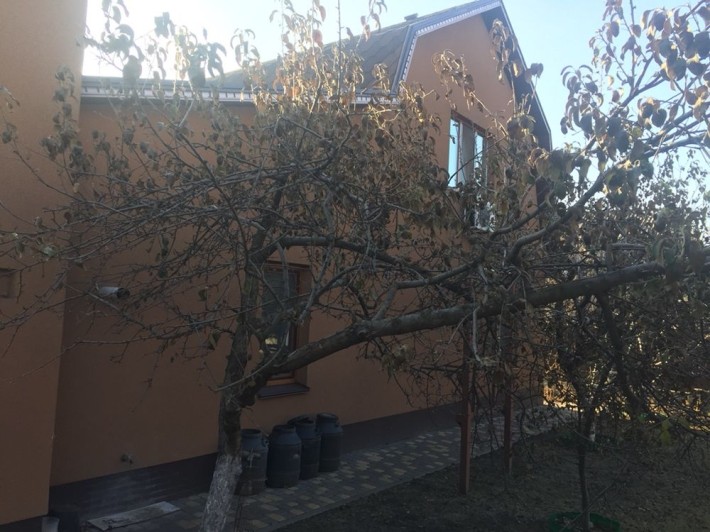 Дом в центре - фото 1