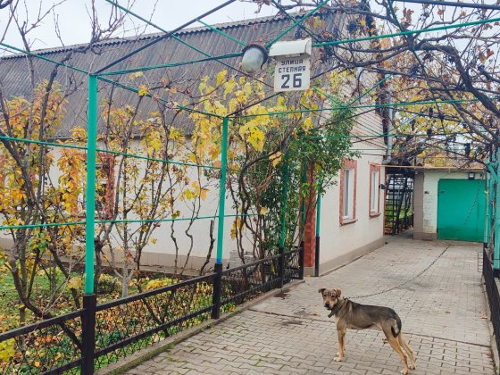 Будинок на 44 кварталі, Божедарівка Терноватий Кут