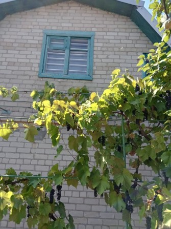 Продаётся  Дача, пгт.Лозоватка. - фото 1