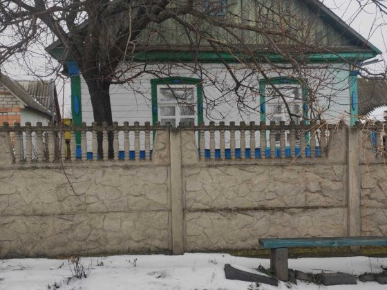 Продам будинок в селі Радомишль
