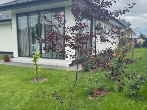 Продаж сучасного нового будинку. Станишівка