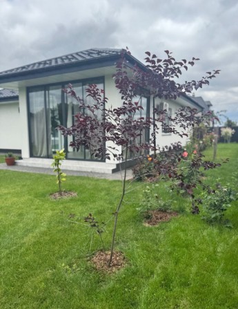 Продаж сучасного нового будинку. - фото 1