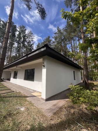 Сучасний екологічний  будинок у соснах - фото 1