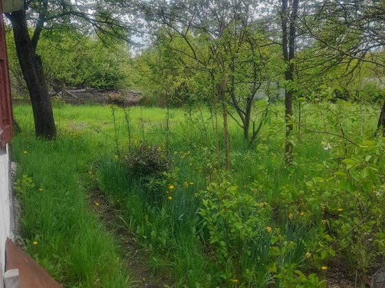 Продам будинок с.Іванівка Іванівка