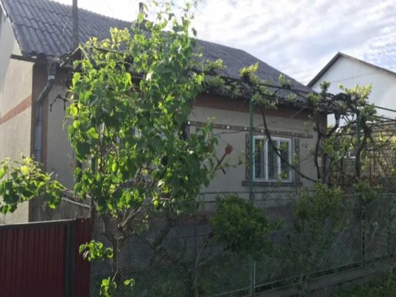 Продається будинок у м. Тячів Тячев