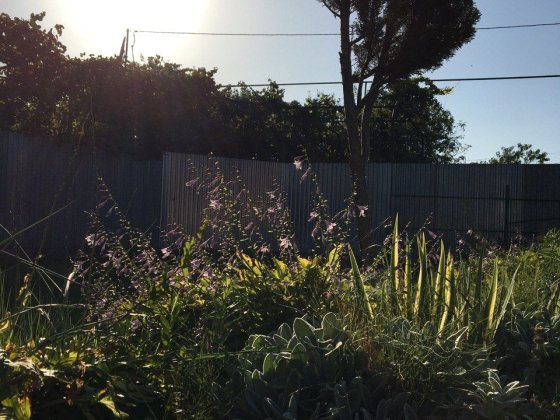 Приватний будинок Тячів