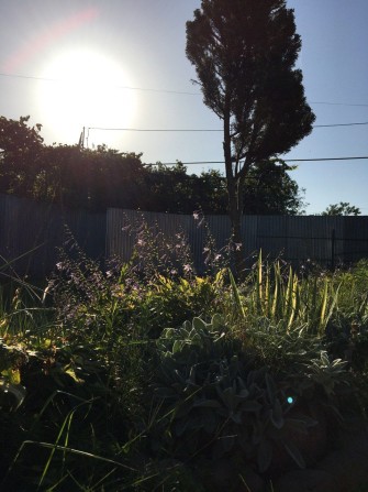 Приватний будинок - фото 1