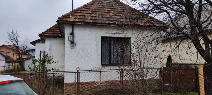 Приватний будинок Свалява - фото 1