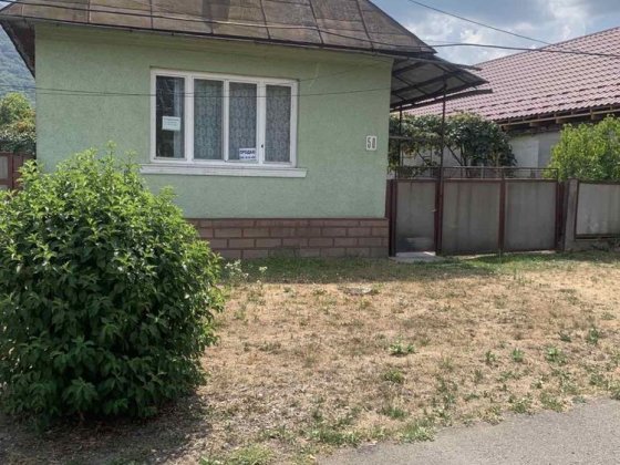 Приватний будинок у Тячевi