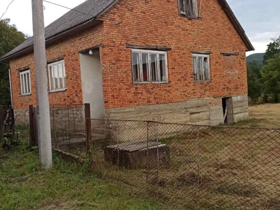 Будинок с.Теребля Тячев