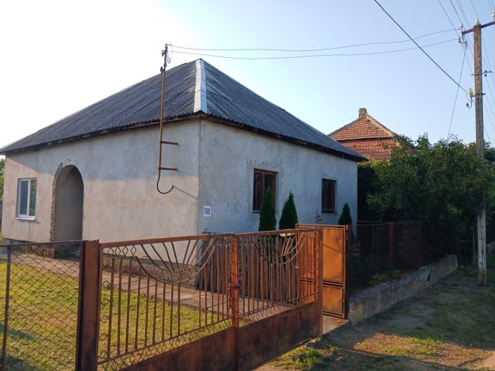 Будинок біля термальних курортів, поруч озеро - фото 1